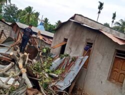 Uma 432  Hetan Estragus Husi Inundasaun Iha Munisipio 11