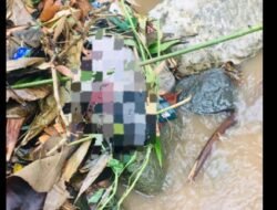 Kazu Soe Bebe Iha Bobonaru PNTL Asegura Autor Na’in Ida