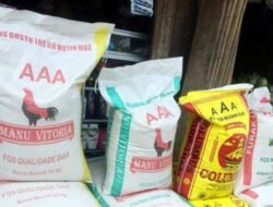 Fretilin Konsidera Ix Governu Inkapasidade Kombate Folin Foos Iha Tl